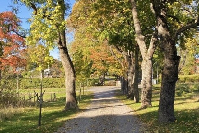 Slånbärsvägen 14, Danderyd - bild 5
