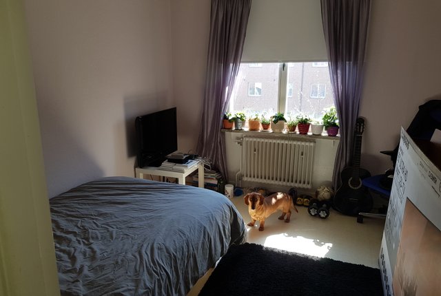 Börringegatan 4B, Malmö - bild 6