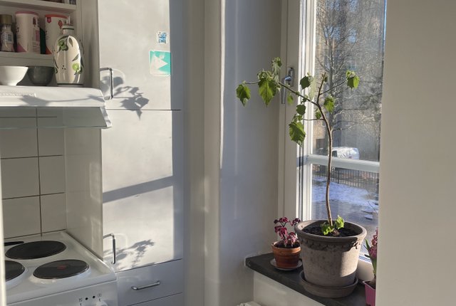 Lundagatan 49, Stockholm - bild 3