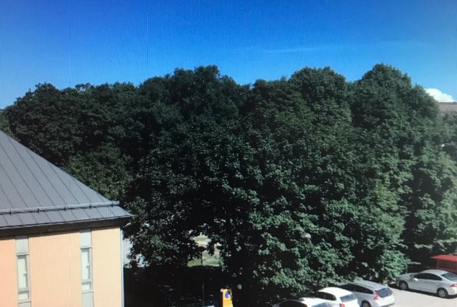 Sankt Ansgars Väg 6, Solna - bild 7
