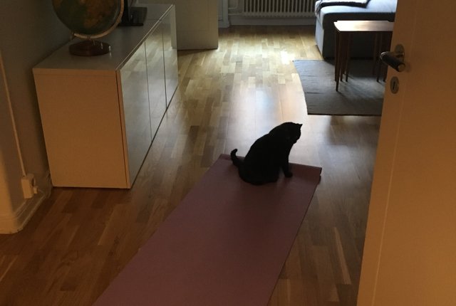 Kocksgatan 24, Stockholm - bild 1