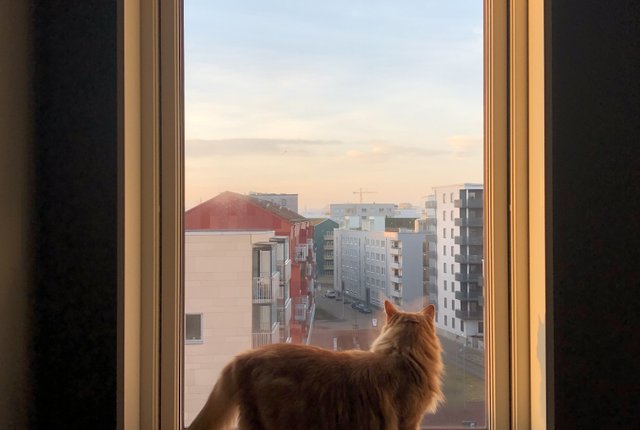 Färgfabriksgatan 12, Göteborg - bild 6