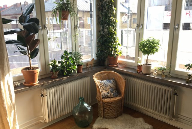 Södra Förstadsgatan 113, Malmö - bild 2