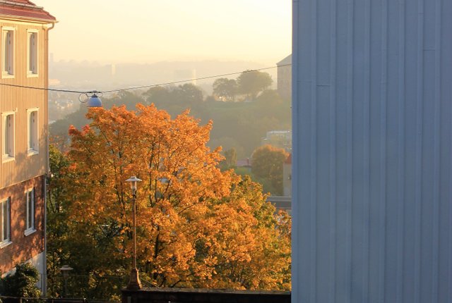 , Göteborg - bild 7