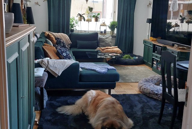 Norra Skolgatan 18, Malmö - bild 4