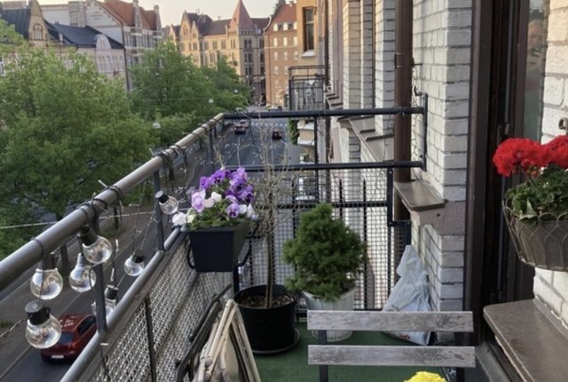 Bergsgatan 4B, Malmö - bild 8