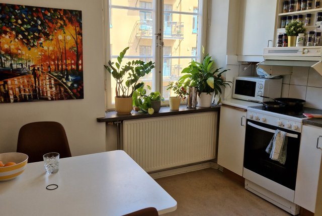 Olivedalsgatan 26, Göteborg - bild 6