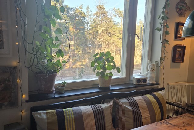 Byälvsvägen 47, Bagarmossen - bild 8