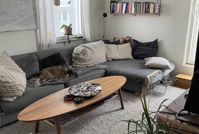 Kansliskrivargatan 21, Uppsala - bild 7