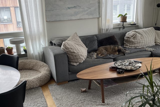 Kansliskrivargatan 21, Uppsala - bild 6