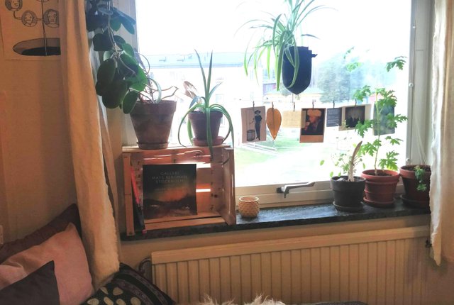 Björkvägen 15, Järna - bild 4