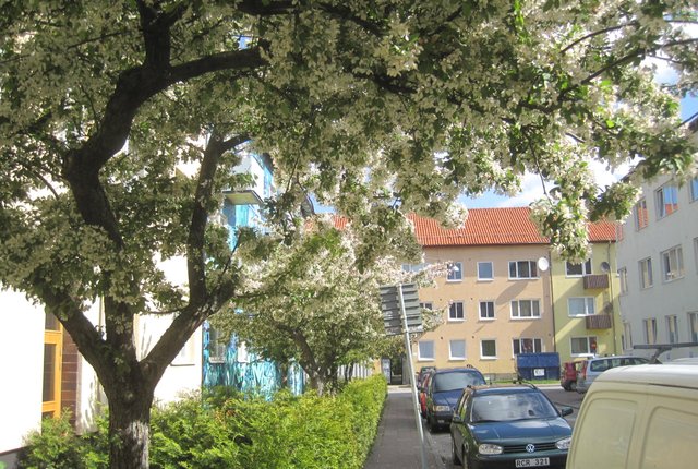 Sofiagatan 21, Malmö - bild 3