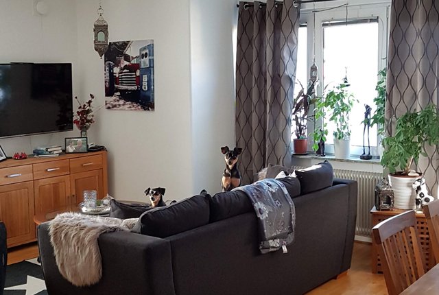 Wahlbergsgatan 2, Göteborg - bild 7