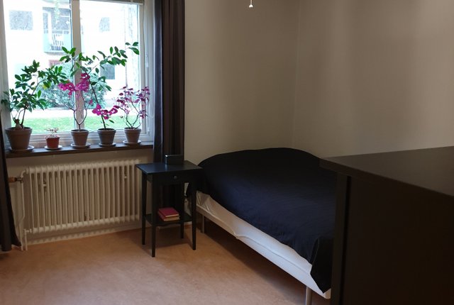 Doktor Westrings Gata 3A, Göteborg - bild 8