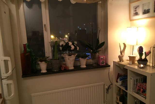 Ankdammsgatan 20, Solna - bild 1