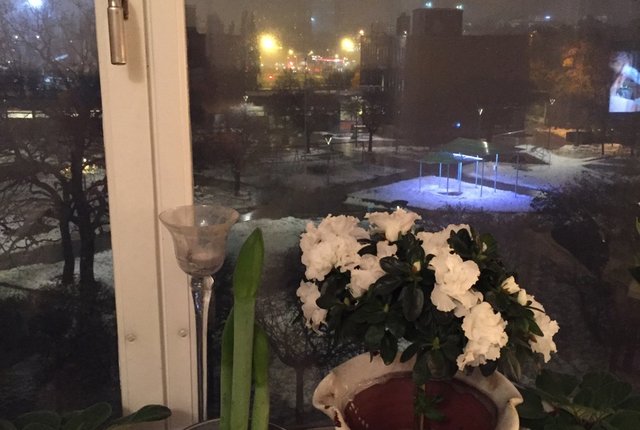 Ankdammsgatan 20, Solna - bild 2