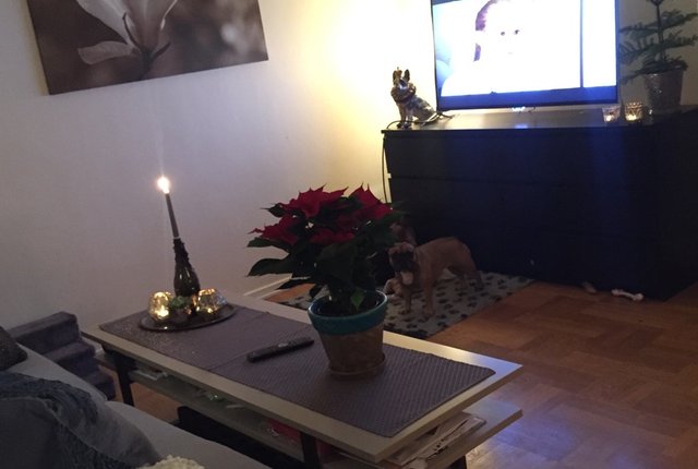 Ankdammsgatan 20, Solna - bild 8