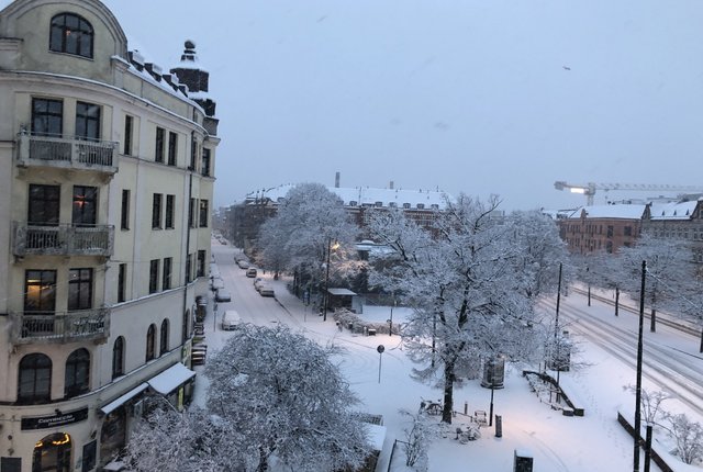 Bergsgatan 41, Malmö - bild 8