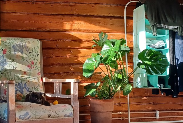 Övre Slottsgatan 13B, Uppsala - bild 1