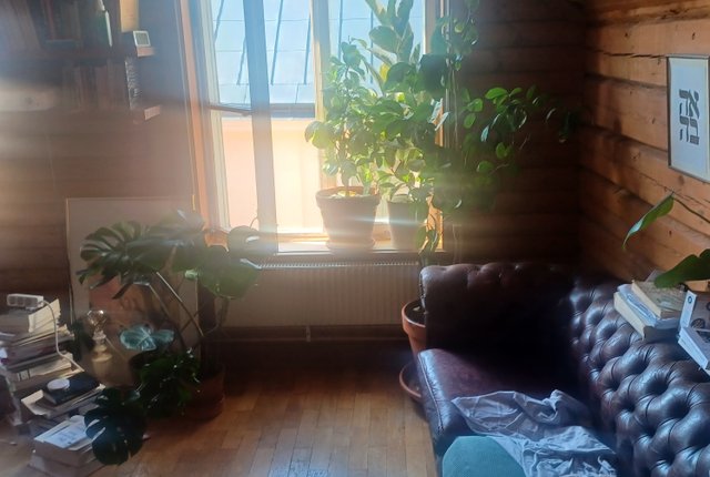 Övre Slottsgatan 13B, Uppsala - bild 4