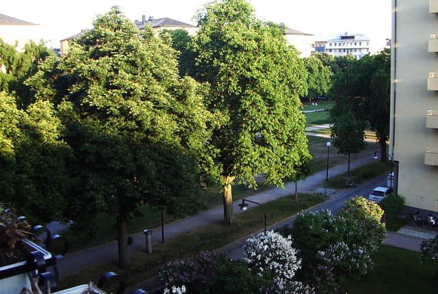 Hedinsgatan 17, Stockholm - bild 7