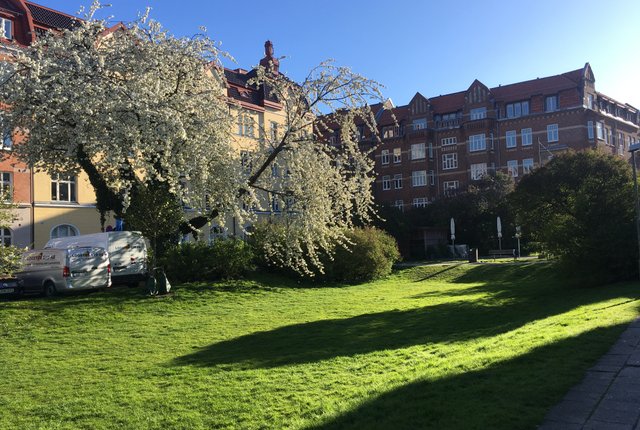 Östra Stallmästaregatan 5A, Malmö - bild 5