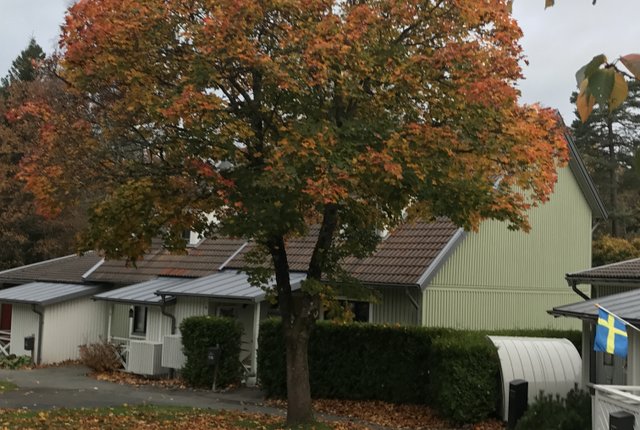 Skogsgläntan 44, Mölnlycke - bild 8