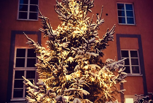 Kvarngatan 10, Stockholm - bild 4