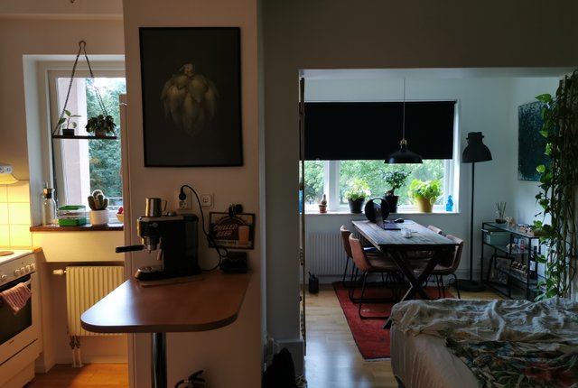 Torekovsgatan 7B, Helsingborg - bild 7