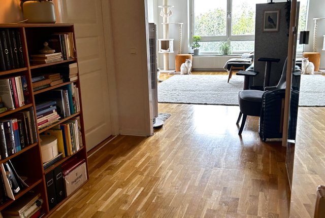 Övre Fogelbergsgatan 1, Göteborg - bild 4