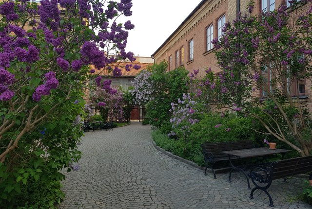 Haga Östergata 5, Göteborg - bild 1