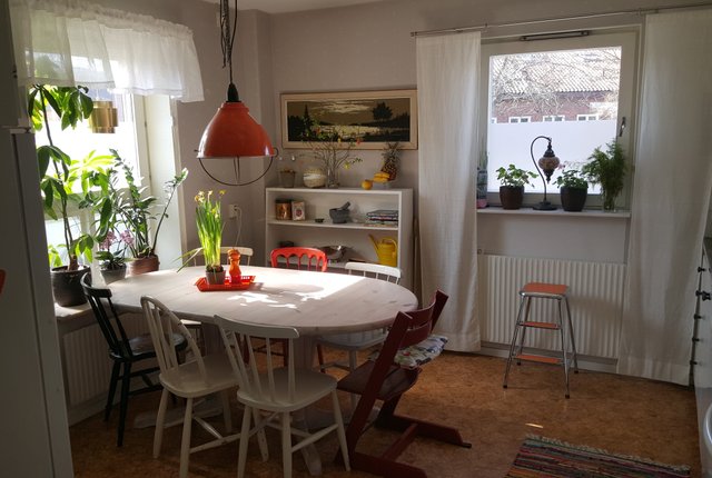 Grynmalaregatan 5, Lund - bild 2