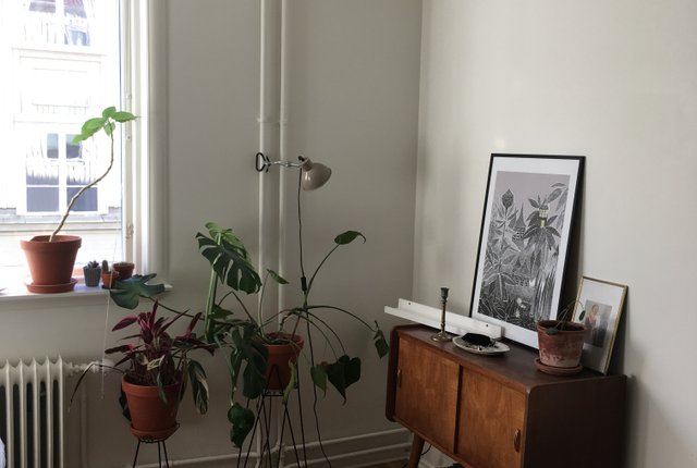 Tunnbindaregatan 18B, Göteborg - bild 8