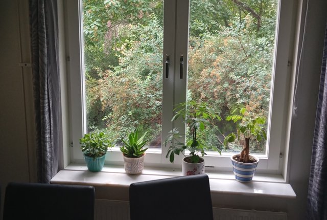 Stenbrohultsvägen 12, Uppsala - bild 7