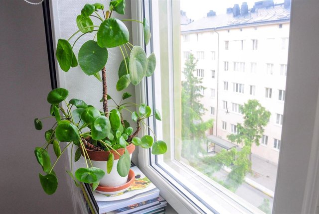Ringvägen 89, Stockholm - bild 6