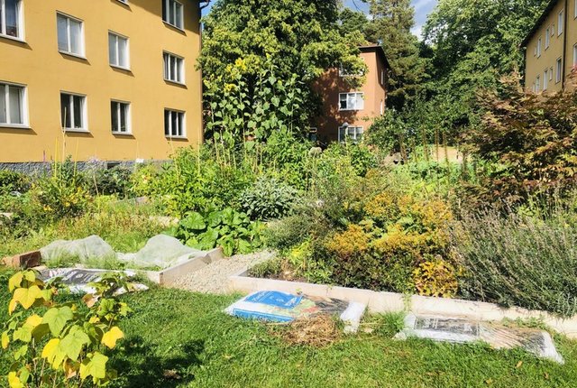 Palmfeltsvägen 97, Enskede Gård - bild 7