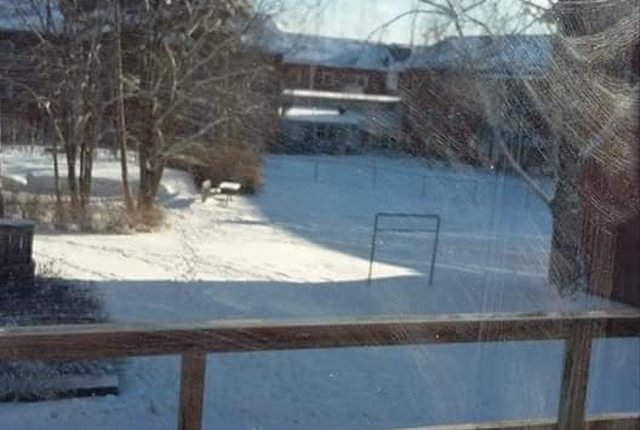 Humlevägen 212, Trollhättan - bild 4