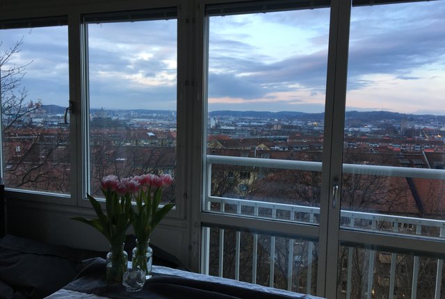 Mäster Johansgatan 17, Göteborg - bild 2