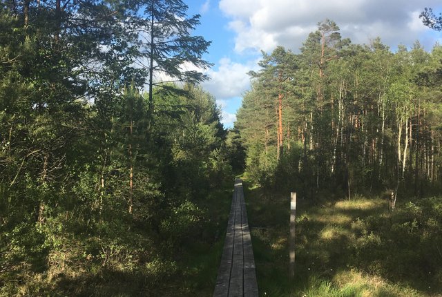 Hällesåkersvägen 166, Lindome - bild 8