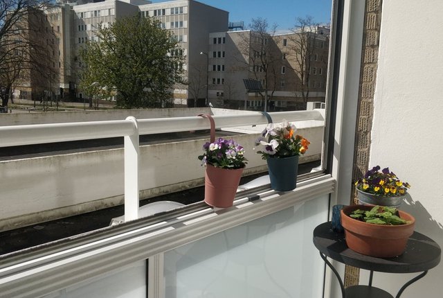 Ystadvägen 13, Malmö - bild 4