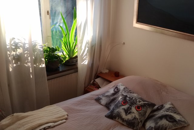 Terrängvägen 99, Hägersten - bild 1