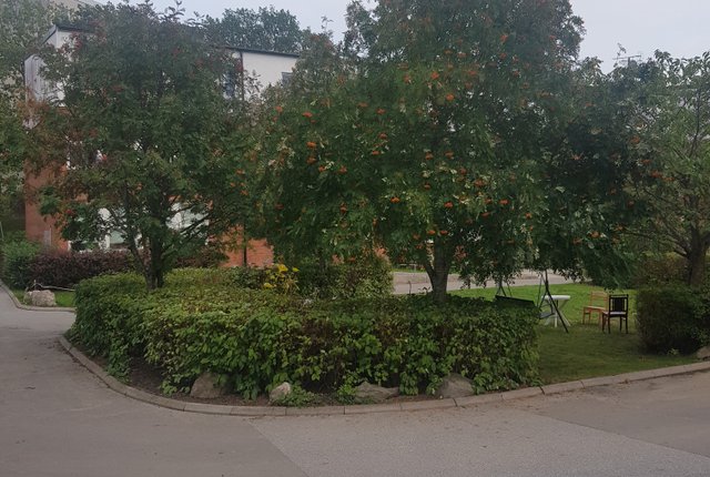 Vårholmsbackarna 87, Skärholmen - bild 7