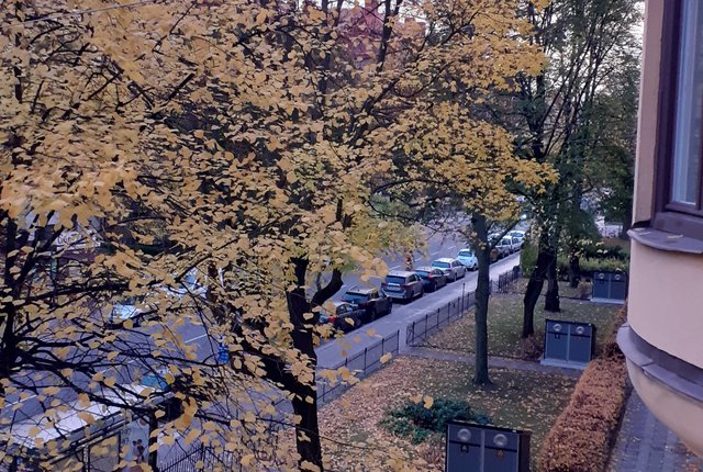 Karlbergsvägen 65, Stockholm - bild 2