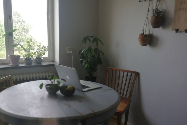 Eketrägatan 7, Göteborg - bild 5