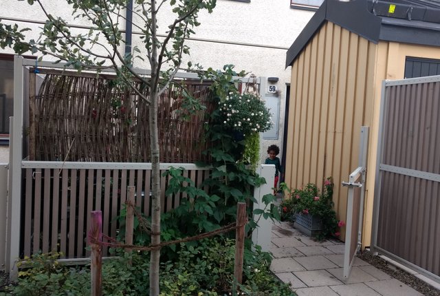 Åsgärdevägen 59, Enskededalen - bild 7