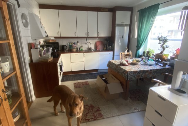Regementsgatan 15, Malmö - bild 2