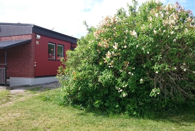 Stenåldersvägen 64, Trosa - bild 6
