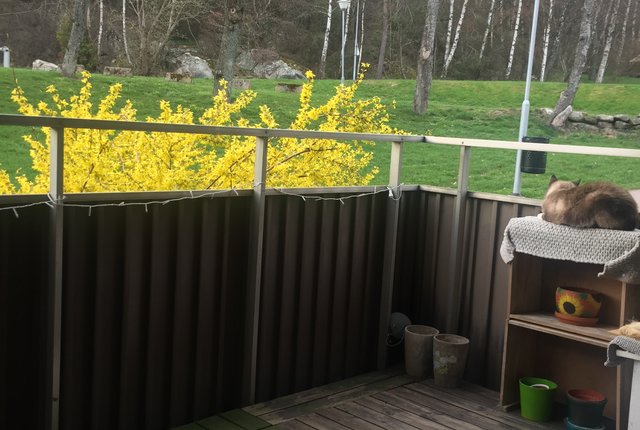 Stormgatan 18, Kungsbacka - bild 5