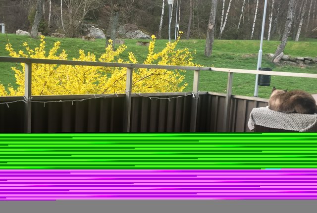 Stormgatan 18, Kungsbacka - bild 6