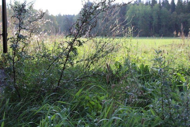 Visättravägen 43, Huddinge - bild 7
